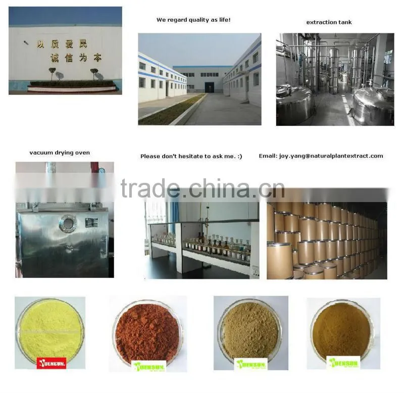 Epimedium Extract Powder Icariin 5%~98%