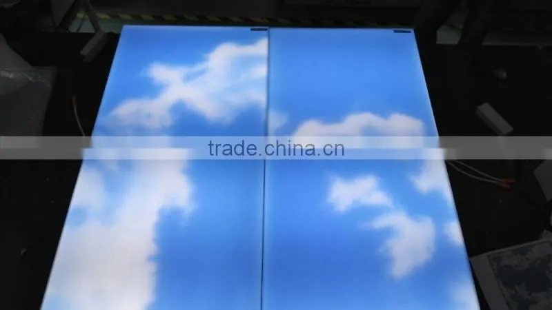 IP44 Input voltage 100-240VAC 600X600MM 48W Frameless CE LED Sky Light