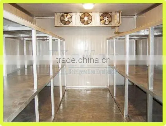 Cold Room For Fruits and Vegetable Storage