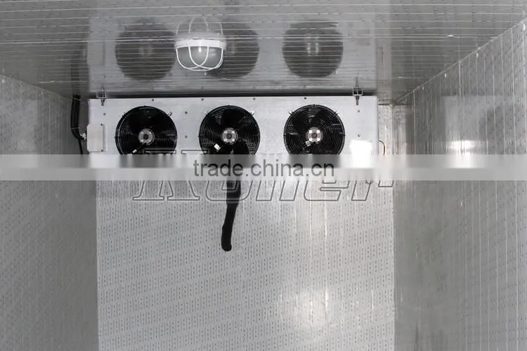 Containerized ice block machine with cold room
