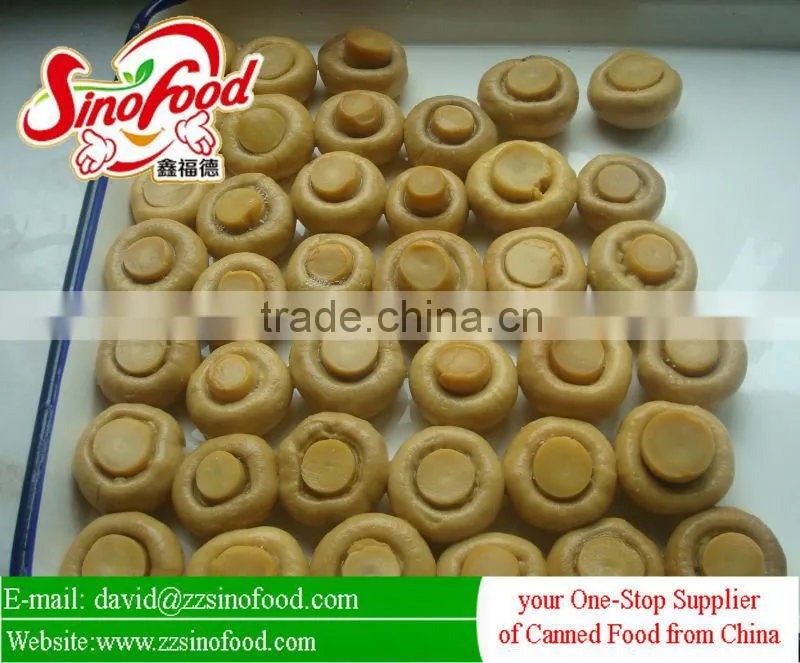 Canned Food Canned Mushrooms