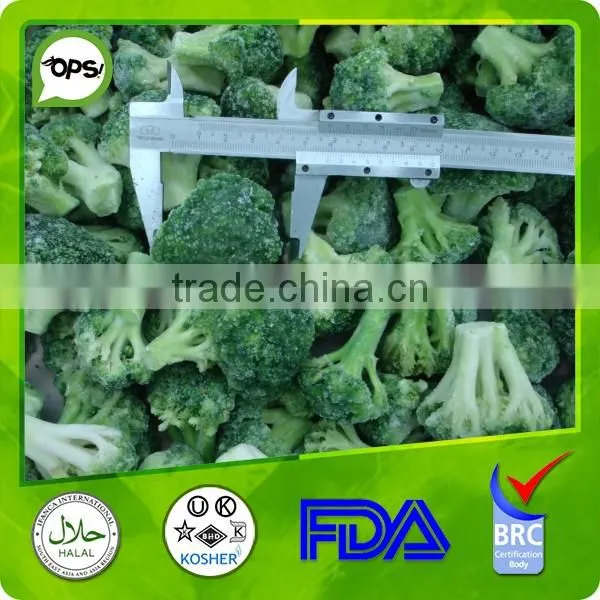 New crop Frozen Broccoli