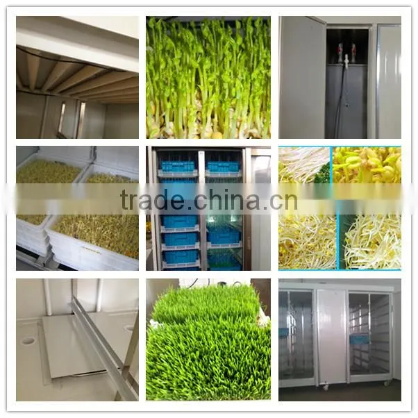 bean sprout factory/sprout maker