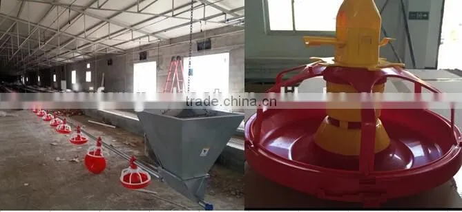 poultry chain feeding system for breeders, poultry pan feeding system for breeders