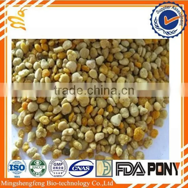 Fresh Bee Pollen (Best Quality)