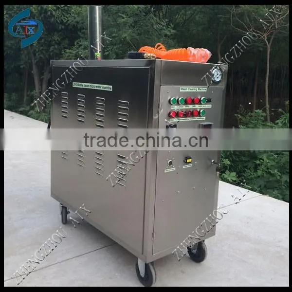 Mini portable steam car wash machine with wholesale price