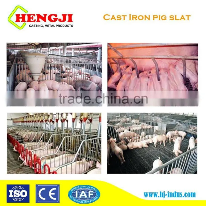 Pig Farming Equipment Hot dippedgalvanized pig house