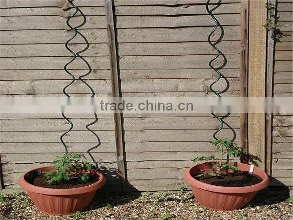 galvanized tomato spiral wire/tomato support wire