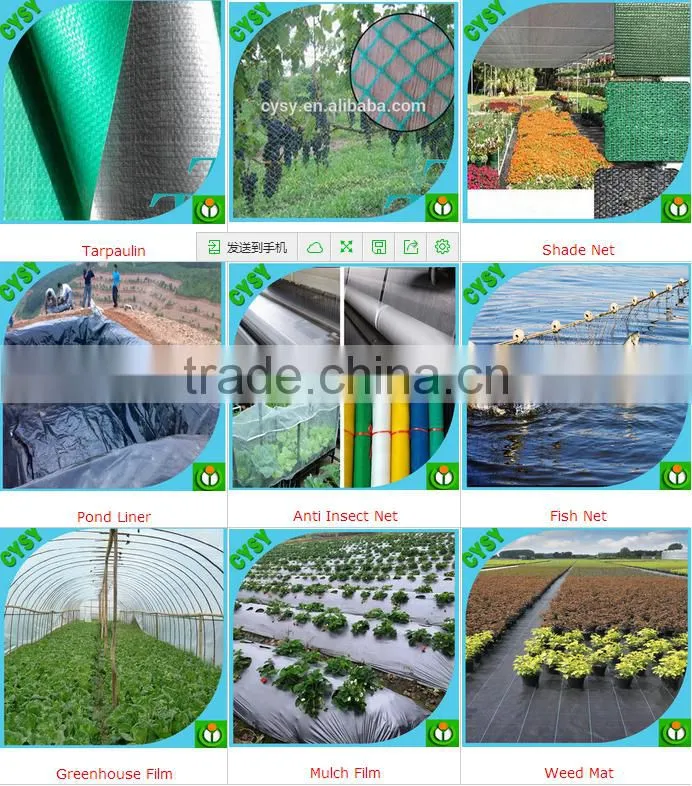 Plastic fly screen mesh in rolls,insect screen mesh,insect mesh netting