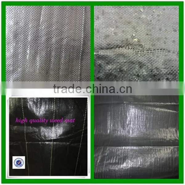 Agricultural garden/greenhouse pp weed mat ground cover