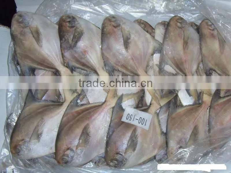 Frozen Silver Pomfret frozen fish 150-200g/pc