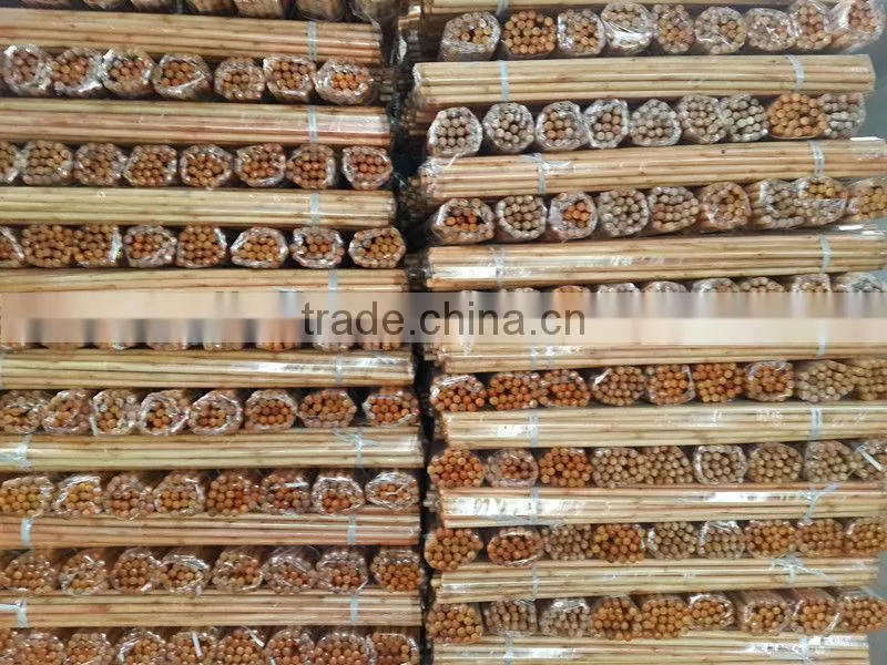 Varnished wooden broom handle with cheap price