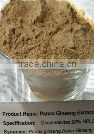 Hotsale Ginseng extract GMP factory granule