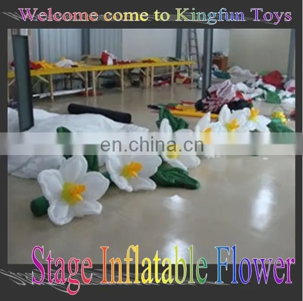 2014 seastar inflatable LED decoration