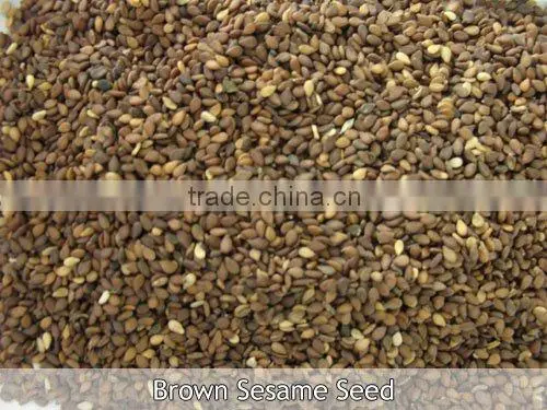 PREMIUM QUALITY INDIAN SESAME SEEDS