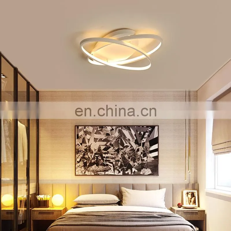 Creative aluminum new living room ceiling lamp LED energy saving bedroom lamp