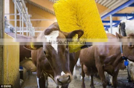Automatic Cow Cleaning Brush