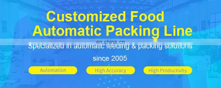 Ruipuhua High Quality Pie Crust/ Pancake/ Tortialla/ Pita Automatic Packing Packaging Flow Wrapping Machine