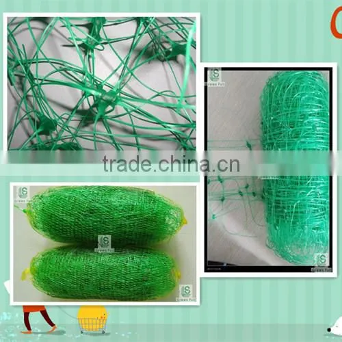 flower pea bean plastic plant support netting