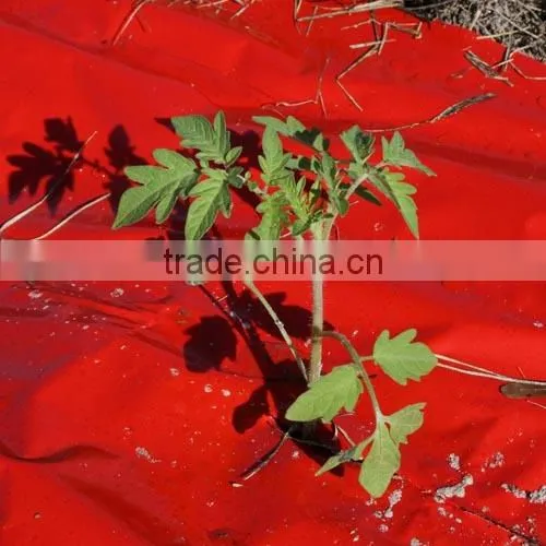 clear mulch film in rolls,plants growing anti weed film,LLDPE mulching film