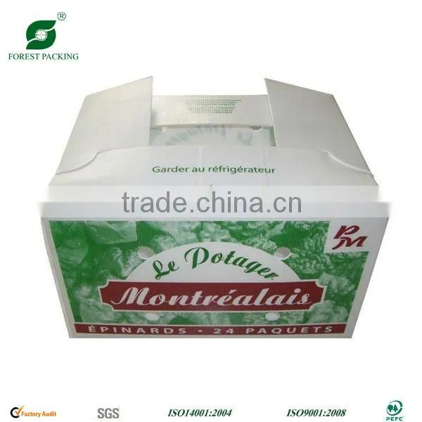 Cabbage Vegetable Packaging Box