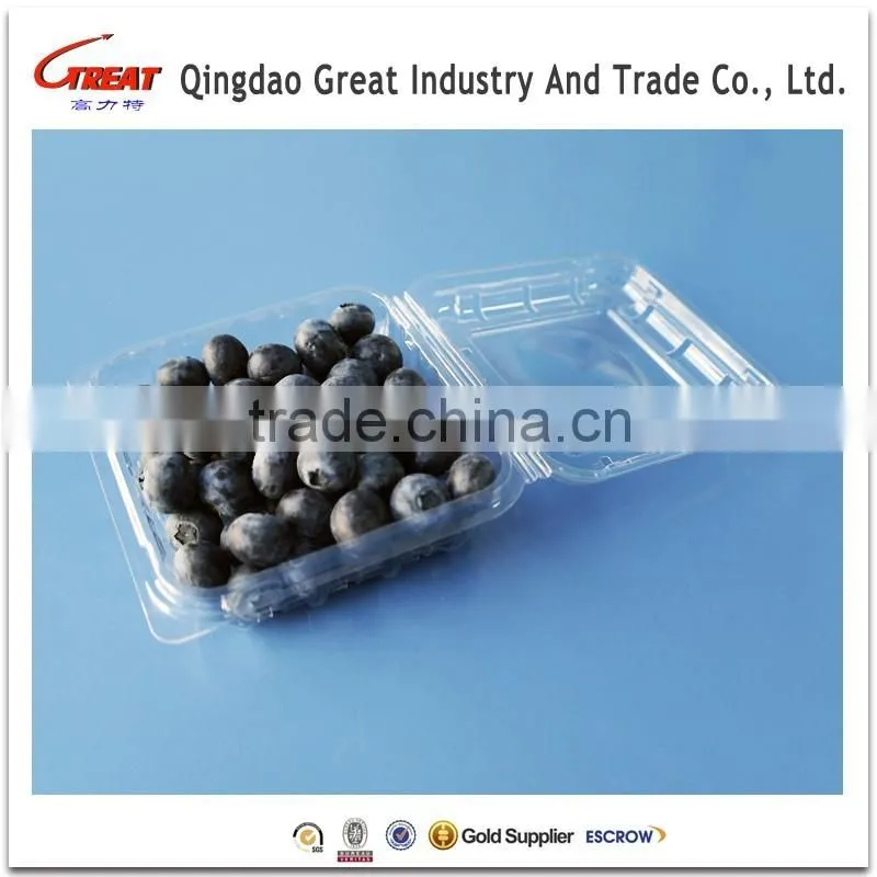 Fruit Packaging Container Food Storage Box Blueberry Packaging Punnet