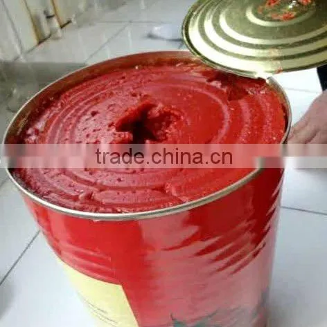 Double Concentrate Canned Tomato Paste