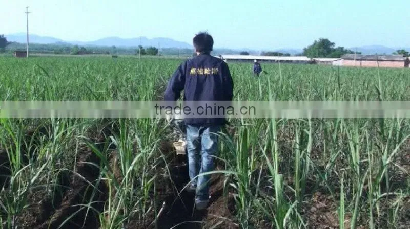 Modern Gear Transmission sugarcane agriculture machine tillage weeding machine