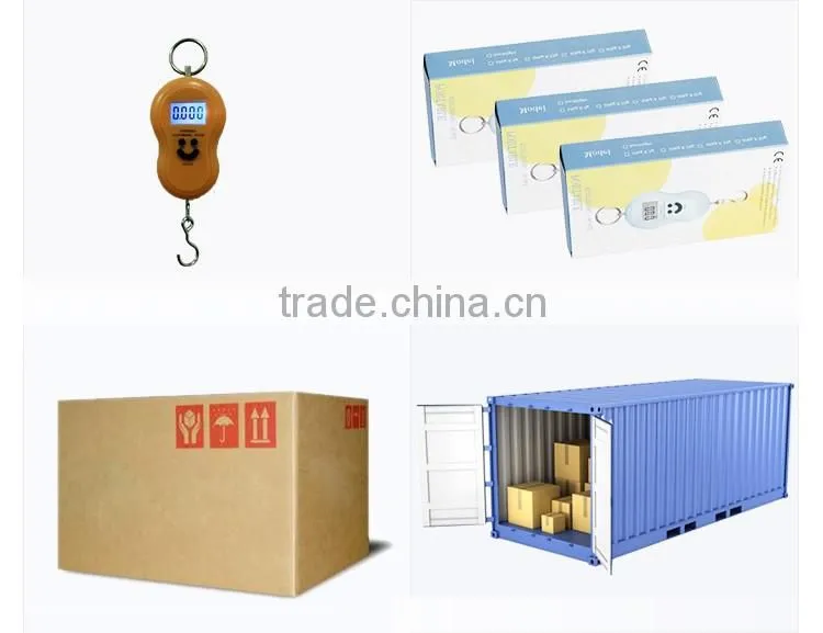 Household Weighing Mini Portable Scale