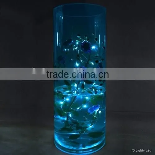 Blue color LED Submersible copper wire Micro Vine light / Battery Operated LED String Light