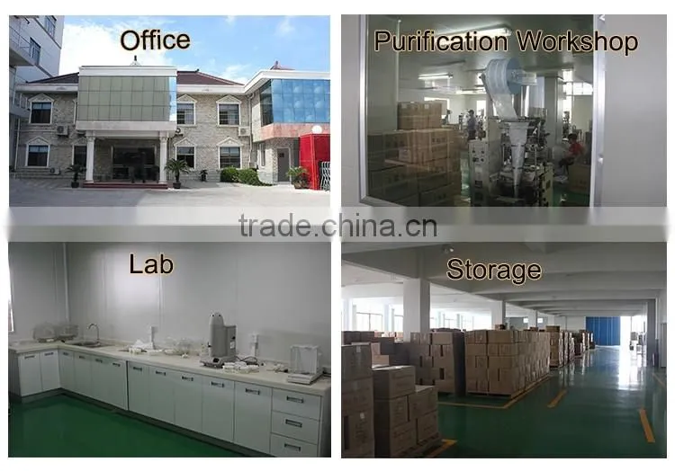 Hot selling dmf free silica gel desiccant bag with low price