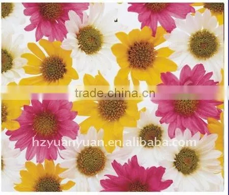 solvent Vinyl Backlit PVC film