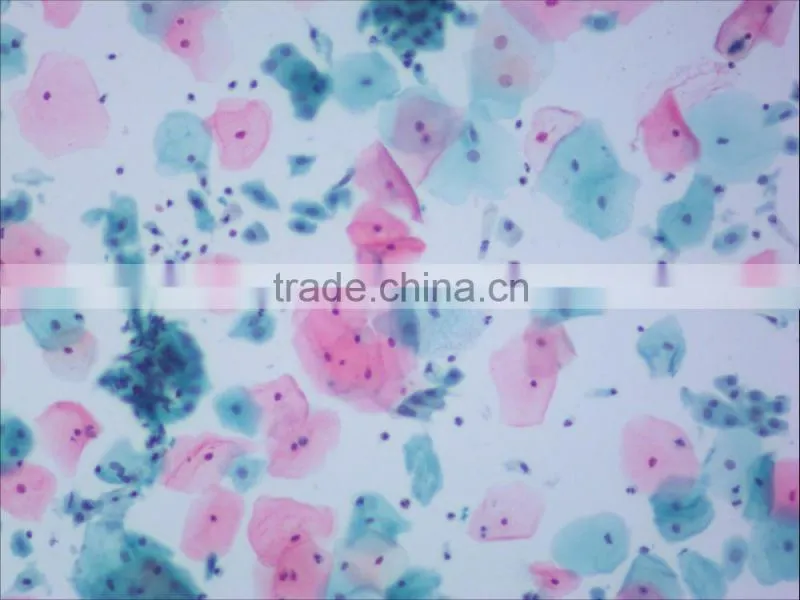 High Speed USB3.0 5.0Mp CMOS Microscope Camera