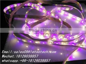 Holiday strip light rgbw addressable led strip multicolor digital 5050 rgbw led pixel strip effect dream color