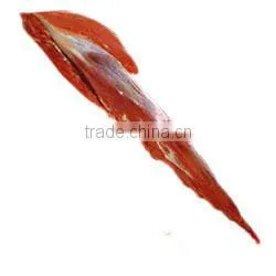 Frozen Boneless Halal Buffalo Meat