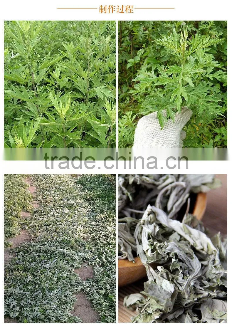 moxa used for acupuncture