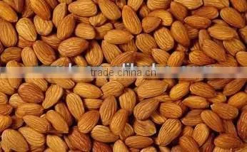 Popular almond husk and kernel separating machine/almond hazelnut shelling and separator machine/kernel husk separation machine