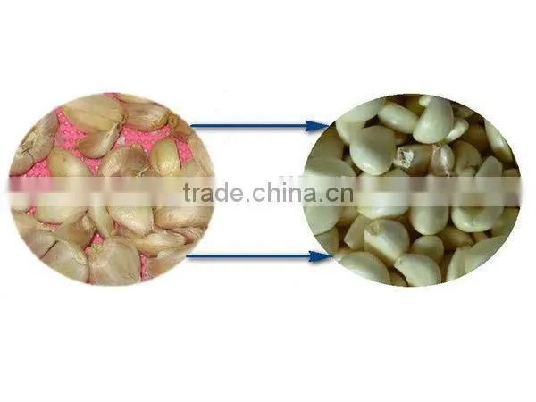 most popular and big capacity garlic peeling machine with best price