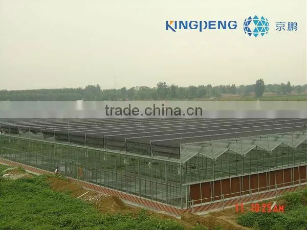 Agricultural Multi Span Glass Greenhouse