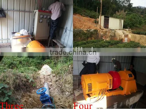 Royway Water Generator /Micro Hydro Turbines