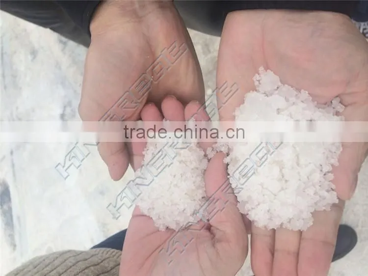 Popular different capacity high yield table salt production line
