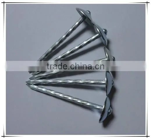 Hot-selling polished common nails / roofing nails / flat head nails