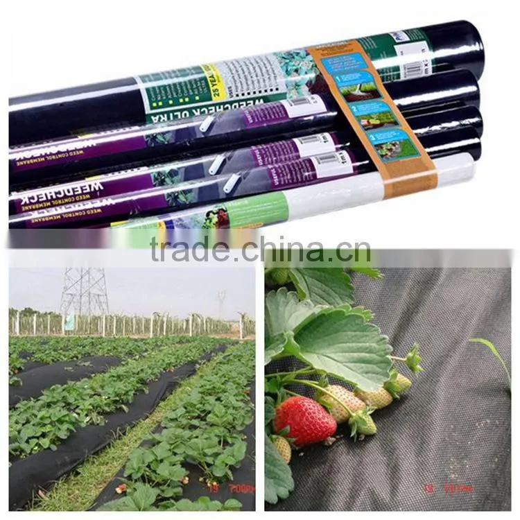 Ruixin non woven agricultural ground weed mat made in China 2015