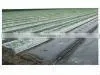 Alibaba express nonwoven fabric used for agriculture