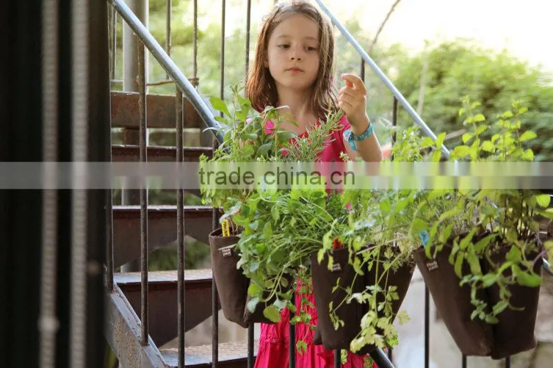 Wall Hanging Planters,Wall Pocket,Herb Pack-Hanging Planter for Herb Vertical Garden