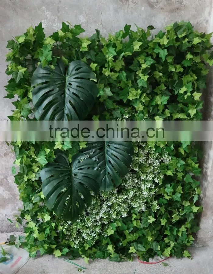 Export outdoor wall plants decoration