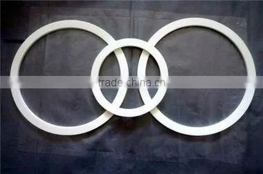 Ring gasket seal gasket