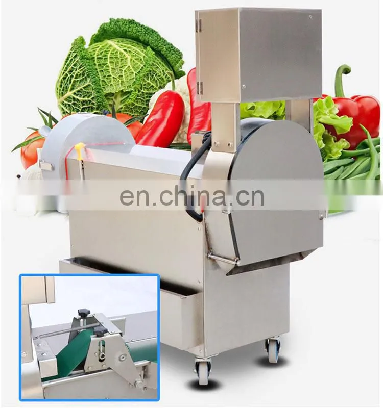 Electric Carrot cutter Most Advanced Stainless Steel Multifunctional Root/Leaf Vegetable Cutting Machine