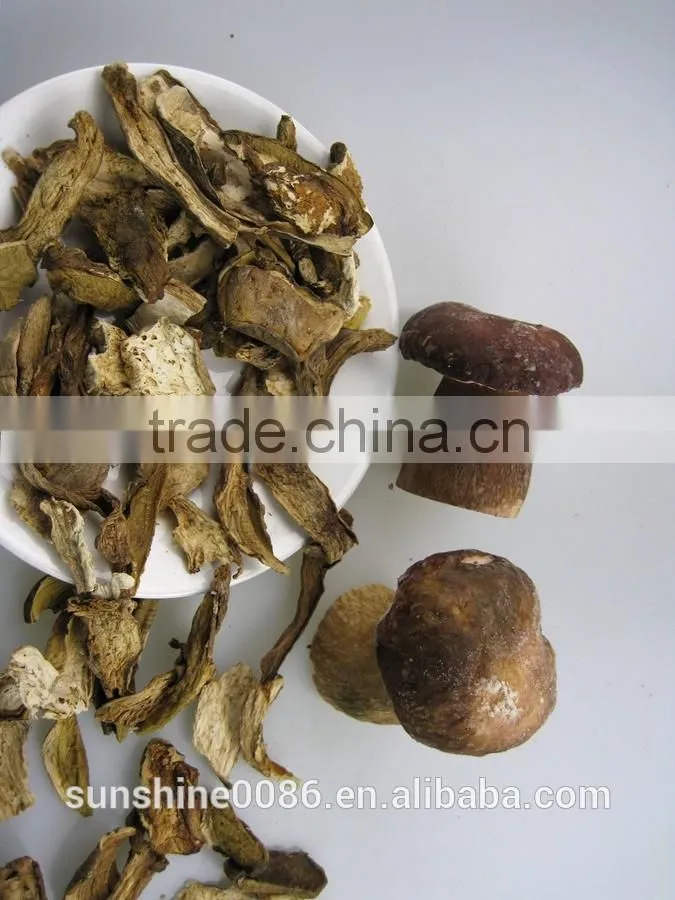Dried Mushroom