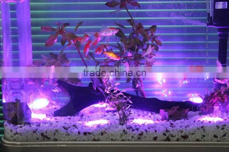 Led under water light IP68 China manufacturer